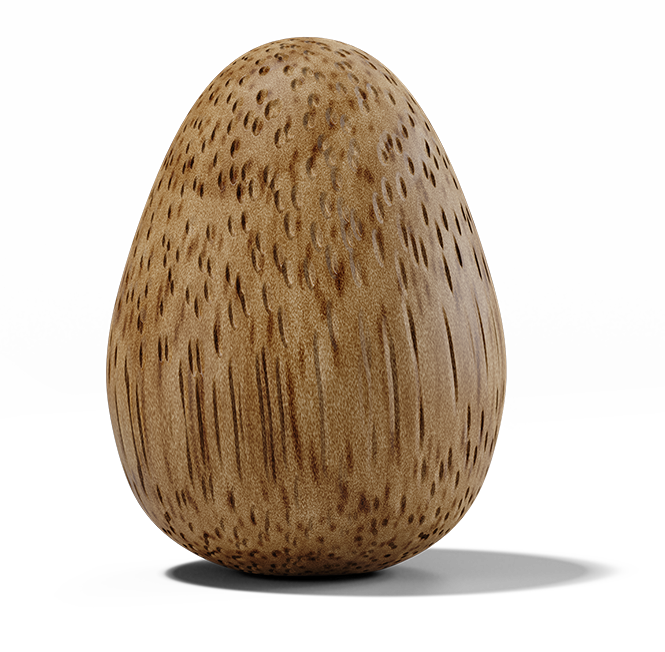 Thinking Egg - bamboo