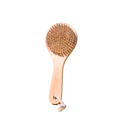 Body Dry Brush