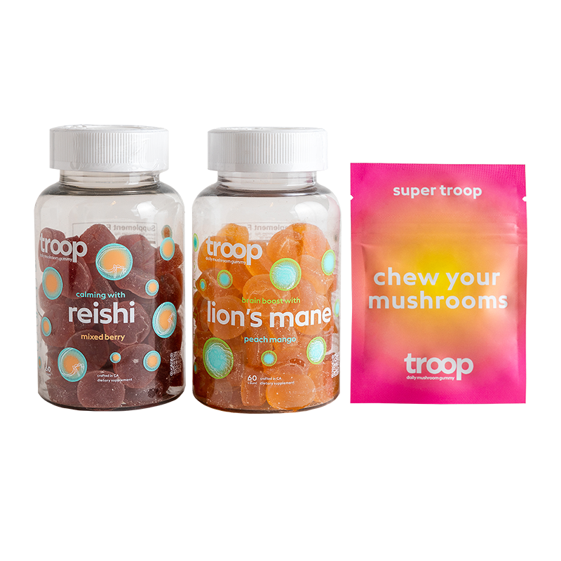 Lion's Mane + Reishi Mushroom Gummy Bundle