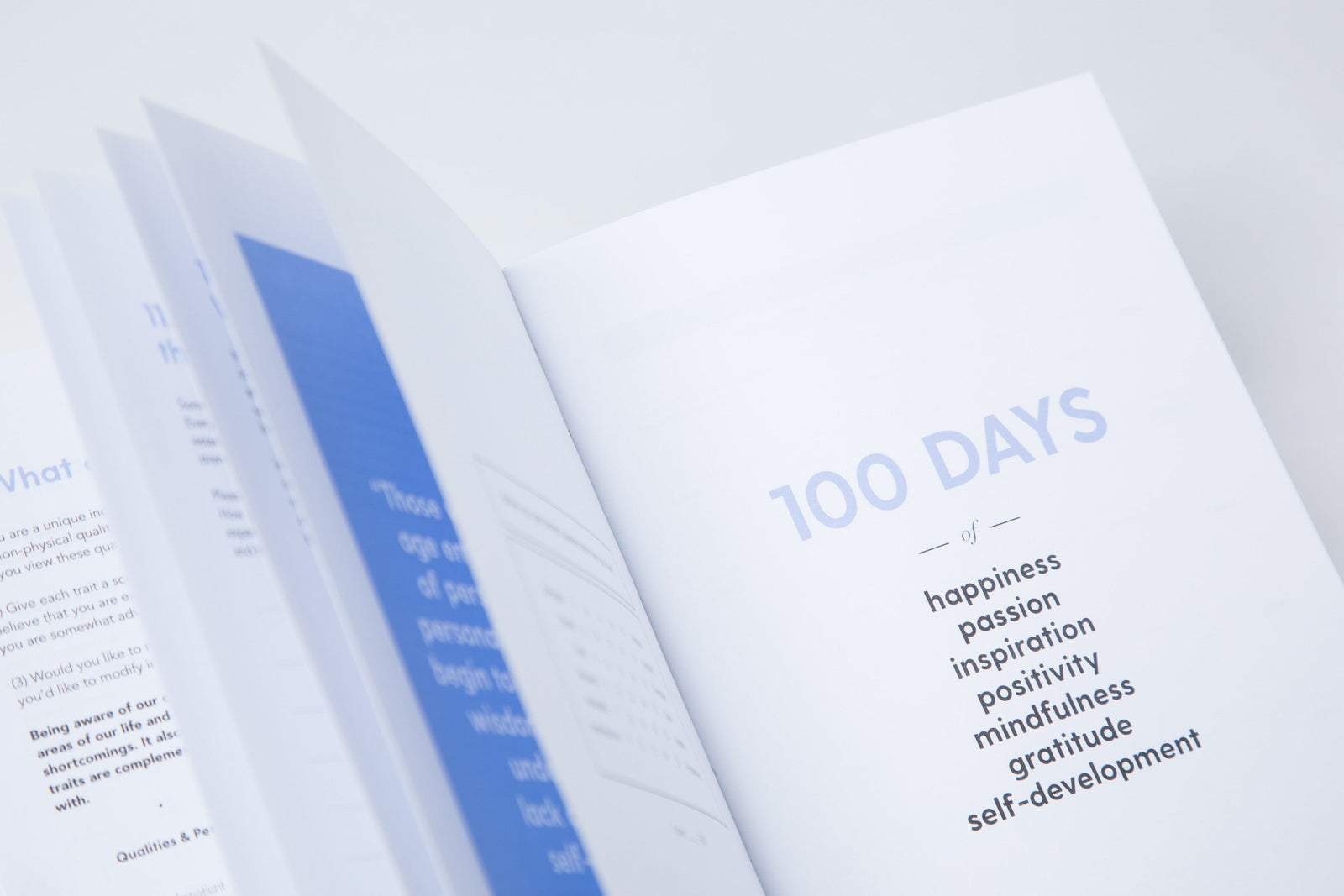 The 100-Day Planner | Blue & White