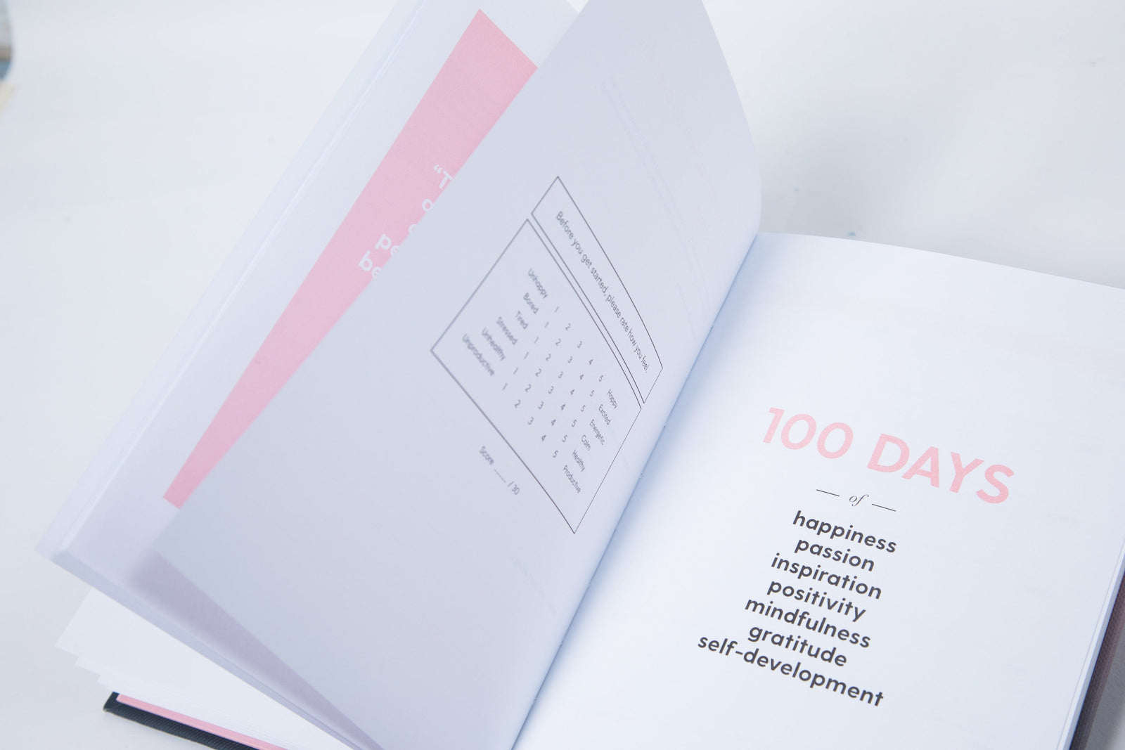 The 100-Day Planner | Pink & Charcoal - The 100-Day Planner | Pink & Charcoal